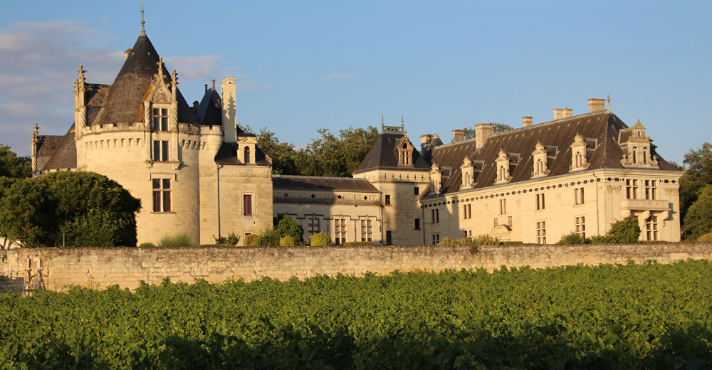 The Chateau de Brézé